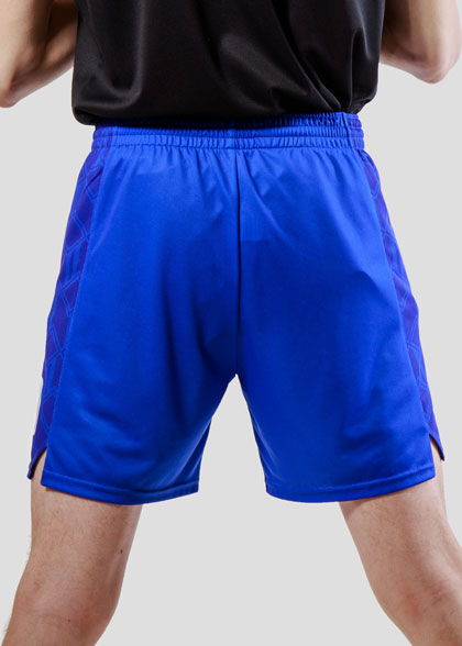 Волейбольные шорты мужские VOL-AMS-03-SUBL